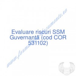 Guvernantă (cod COR 531102)...