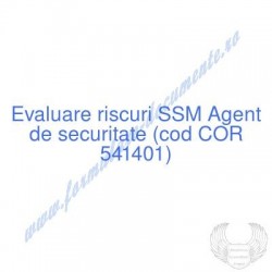 Agent de securitate (cod...