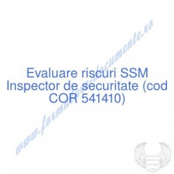 Inspector de securitate...