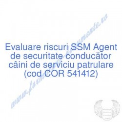 Agent de securitate...