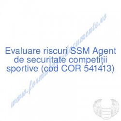 Agent de securitate...