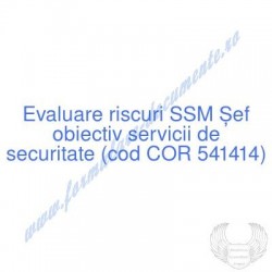 Șef obiectiv servicii de...