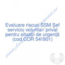 Şef serviciu voluntar,...