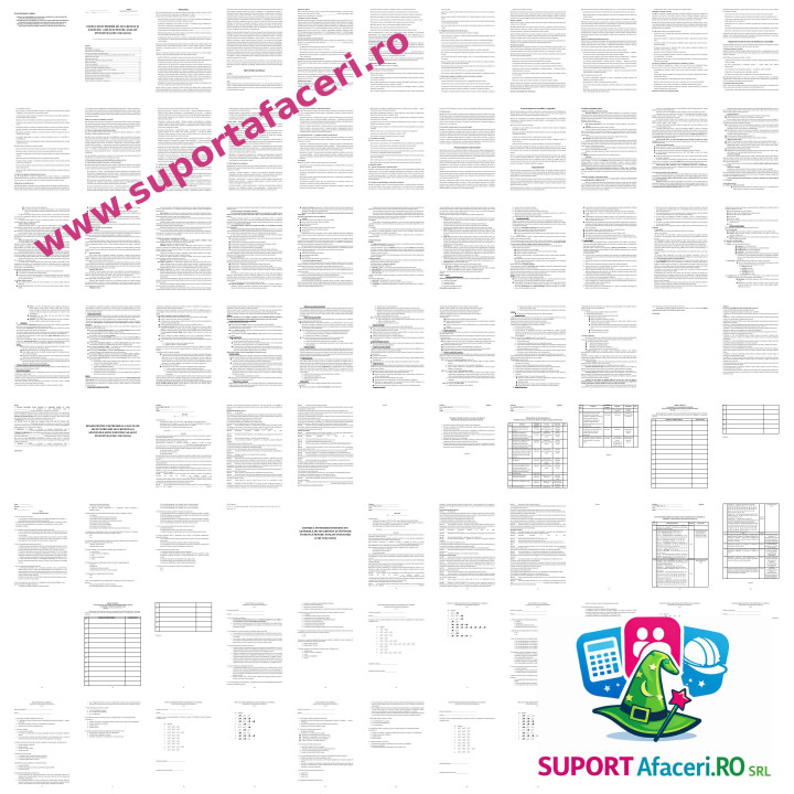 Instrucțiuni proprii SSM Analist investiții – model editabil DOC