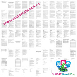 Instrucțiuni proprii SSM Psihopedagog – model editabil DOC