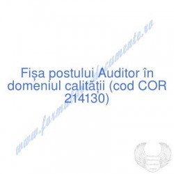 Auditor în domeniul...