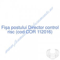 Director control risc (cod...