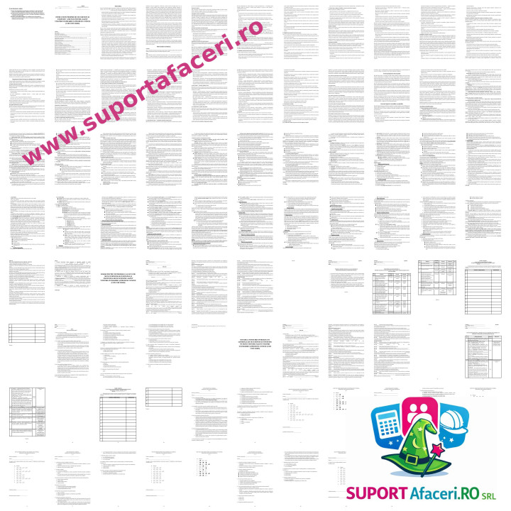Instrucțiuni proprii SSM Agent vânzări standarde și produse conexe – model editabil DOC