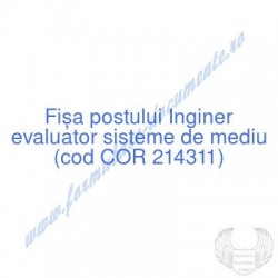 Inginer evaluator sisteme...