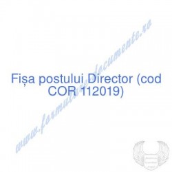 Director (cod COR 112019) -...