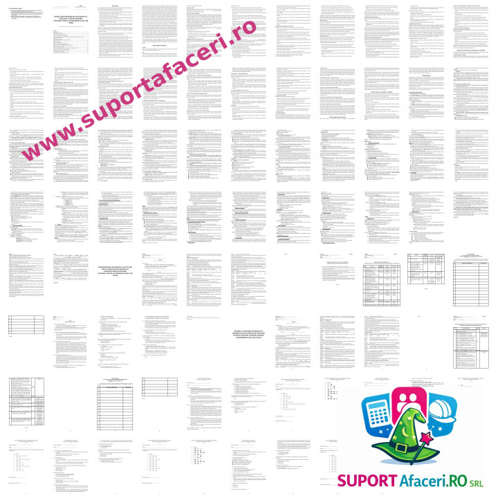 Instrucțiuni proprii SSM Constructor de acoperișuri – model editabil DOC