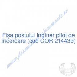 Inginer pilot de încercare...