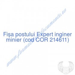 Expert inginer minier (cod...