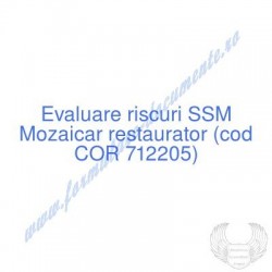 Mozaicar restaurator (cod...