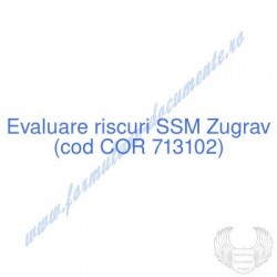 Zugrav (cod COR 713102) -...