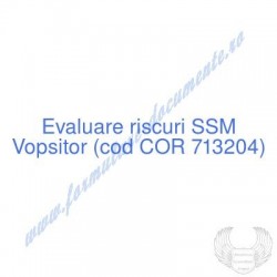 Vopsitor (cod COR 713204) -...