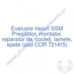 Pregătitor, montator,...