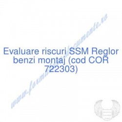 Reglor benzi montaj (cod...