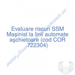 Maşinist la linii automate...