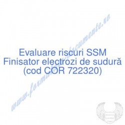 Finisator electrozi de...