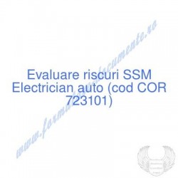 Electrician auto (cod COR...