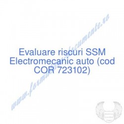 Electromecanic auto (cod...