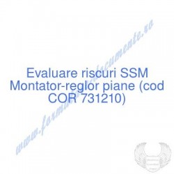 Montator-reglor piane (cod...