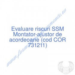 Montator-ajustor de...