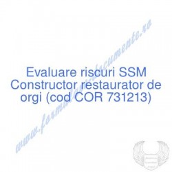 Constructor restaurator de...