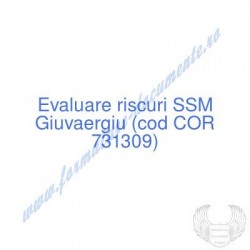 Giuvaergiu (cod COR 731309)...