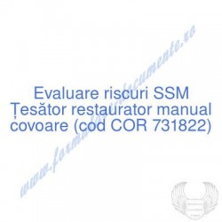 Ţesător restaurator manual...