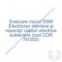 Electrician montare şi...