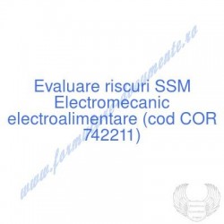 Electromecanic...