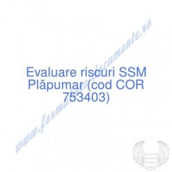 Plăpumar (cod COR 753403) -...