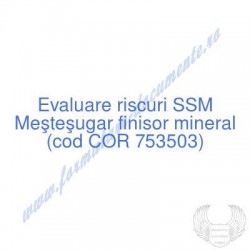 Meşteşugar finisor mineral...