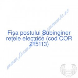 Subinginer reţele electrice...