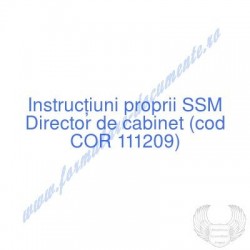 Director de cabinet (cod...