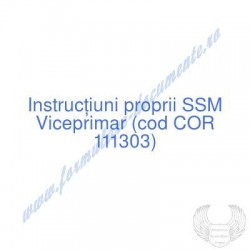 Viceprimar (cod COR 111303)...