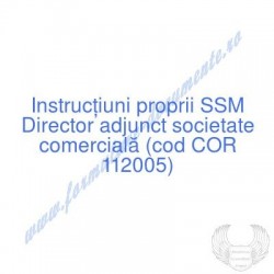 Director adjunct societate...