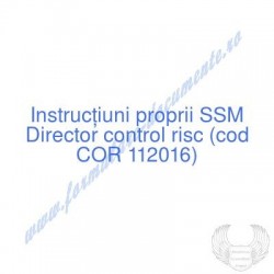 Director control risc (cod...