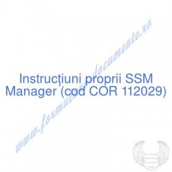 Manager (cod COR 112029) -...