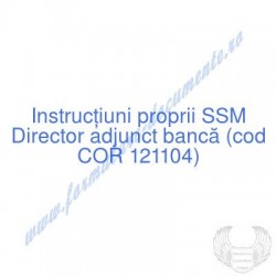 Director adjunct bancă (cod...