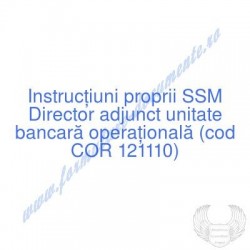 Director adjunct unitate...