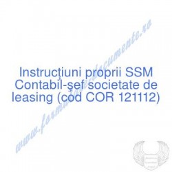 Contabil-şef societate de...