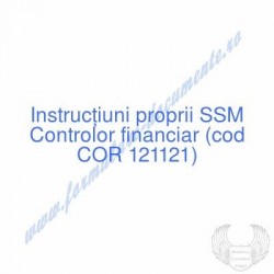 Controlor financiar (cod...