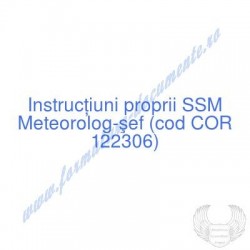 Meteorolog-şef (cod COR...