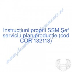 Şef serviciu plan producţie...