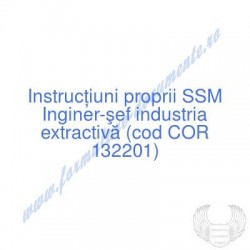 Inginer-şef industria...