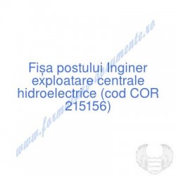 Inginer exploatare centrale...