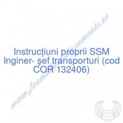 Inginer- şef transporturi...